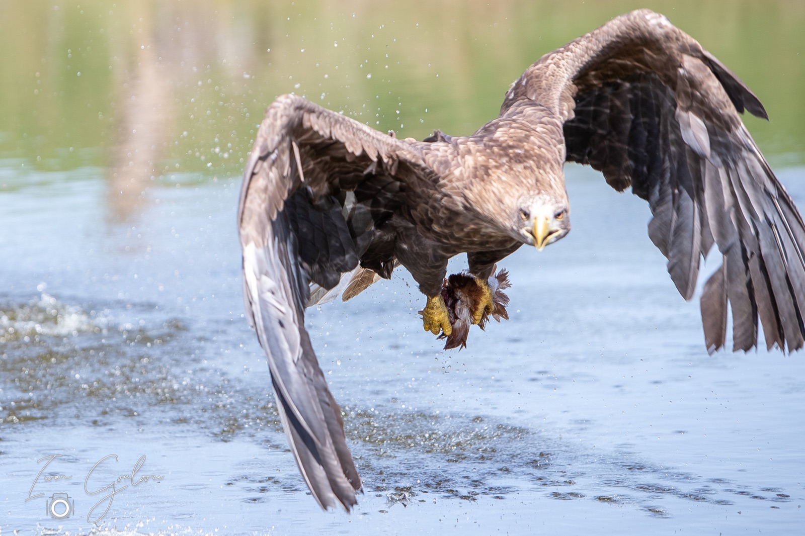 18 april 2022 120310 1DX40198